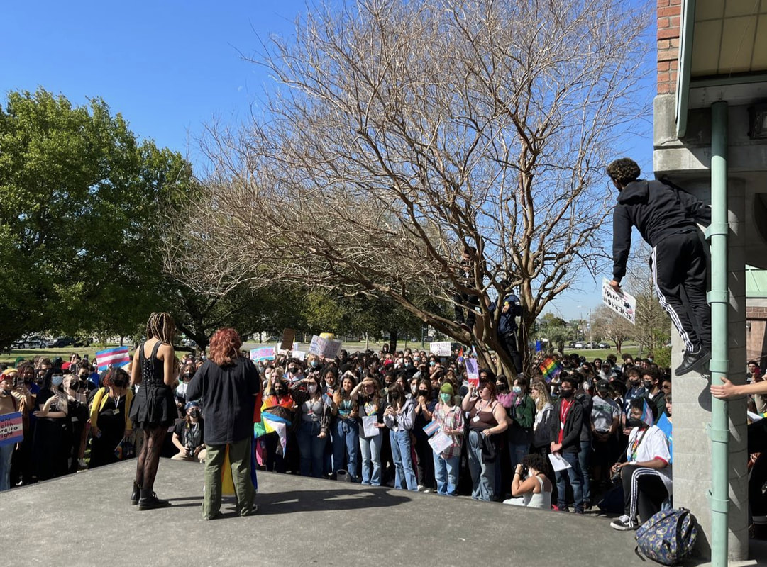 A crowd of roughly 100 or more students of varying ethnicities stand outside of a school building. On concrete steps looking down upon the crowd are two students in all black clothing speaking. The students in the crowd are wrapped in different pride flags, holding up signs. One student to the far right is swinging from a concrete column with a protest sign in his left hand, overlooking the crowd.